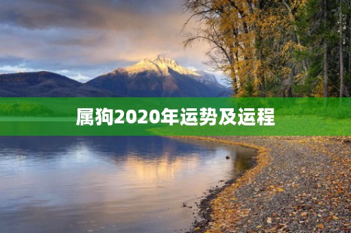 属狗2020年运势及运程