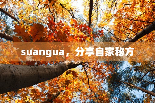 suangua，分享自家秘方