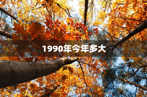 1990年今年多大