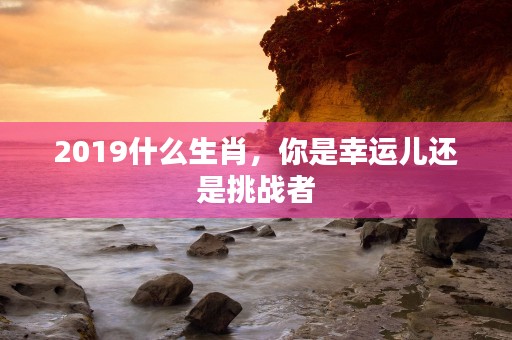 2019什么生肖，你是幸运儿还是挑战者