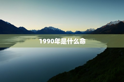 1990年是什么命