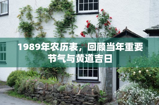 1989年农历表，回顾当年重要节气与黄道吉日