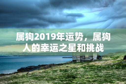 属狗2019年运势，属狗人的幸运之星和挑战