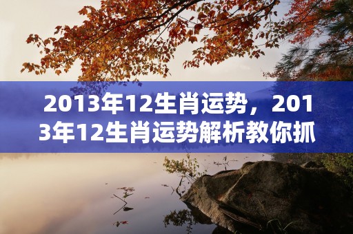 2013年12生肖运势，2013年12生肖运势解析教你抓住机会取得成功