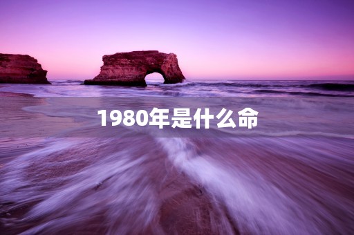 1980年是什么命