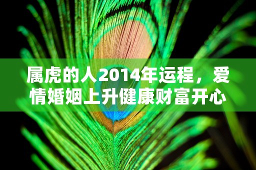 属虎的人2014年运程，爱情婚姻上升健康财富开心度过