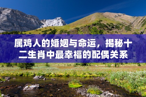 属鸡人的婚姻与命运，揭秘十二生肖中最幸福的配偶关系