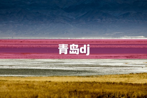 青岛dj