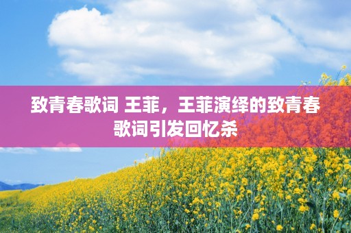 致青春歌词 王菲，王菲演绎的致青春歌词引发回忆杀