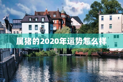 属猪的2020年运势怎么样