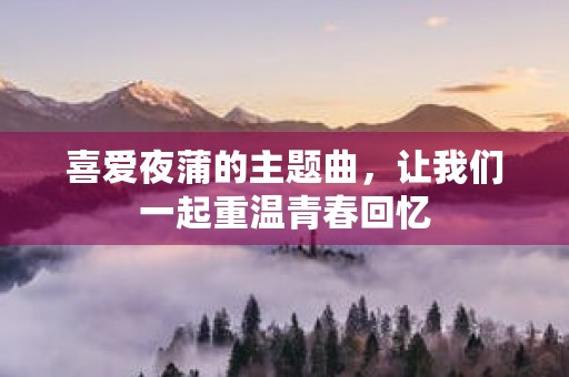 喜爱夜蒲的主题曲，让我们一起重温青春回忆