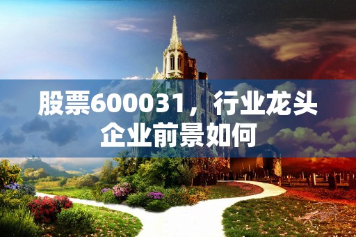 股票600031，行业龙头企业前景如何