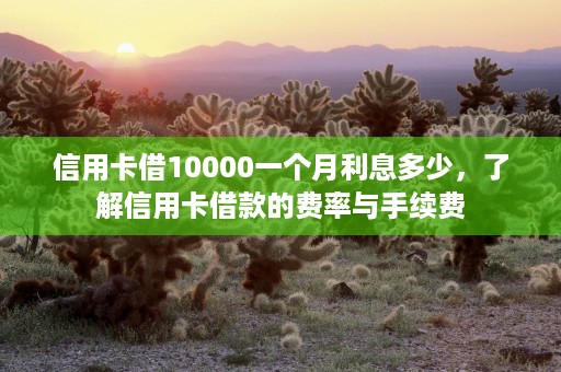 信用卡借10000一个月利息多少，了解信用卡借款的费率与手续费