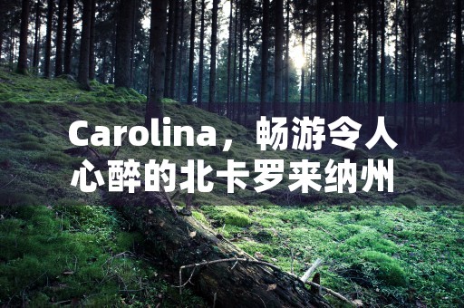 Carolina，畅游令人心醉的北卡罗来纳州