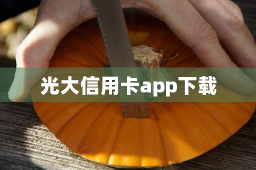 光大信用卡app下载