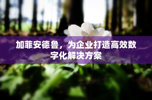 加菲安德鲁，为企业打造高效数字化解决方案