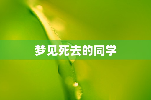 数虎，解锁数字营销的新玩法