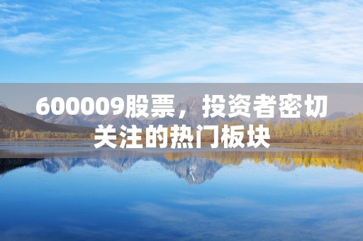 600009股票，投资者密切关注的热门板块