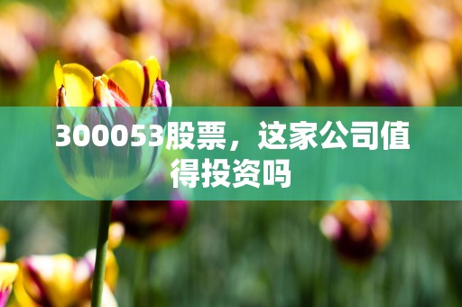 300053股票，这家公司值得投资吗