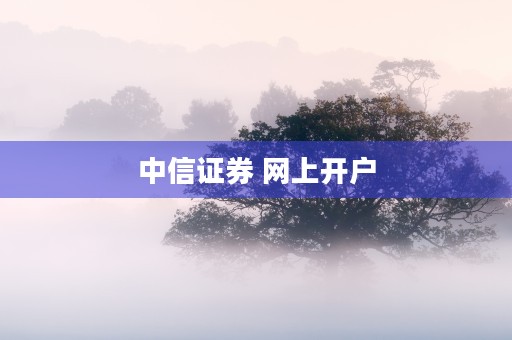 中信证券 网上开户