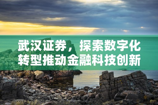 武汉证券，探索数字化转型推动金融科技创新