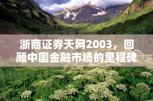 浙商证券天网2003，回顾中国金融市场的里程碑时刻