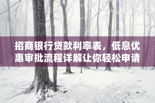 招商银行贷款利率表，低息优惠审批流程详解让你轻松申请借款