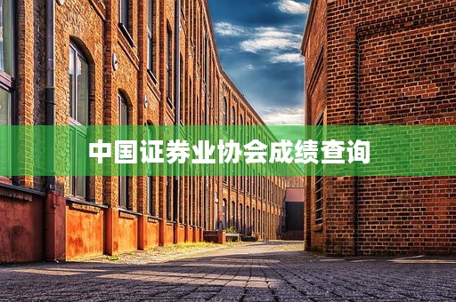 中国证券业协会成绩查询