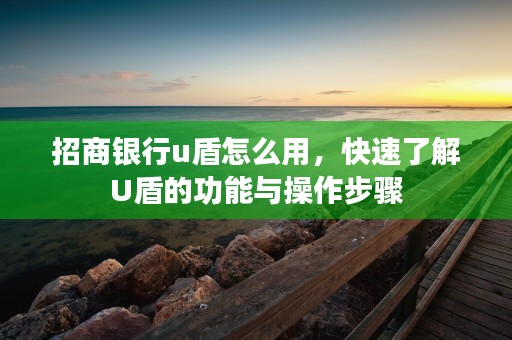 招商银行u盾怎么用，快速了解U盾的功能与操作步骤