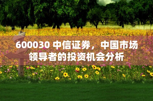 600030 中信证券，中国市场领导者的投资机会分析