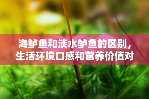 海鲈鱼和淡水鲈鱼的区别，生活环境口感和营养价值对比