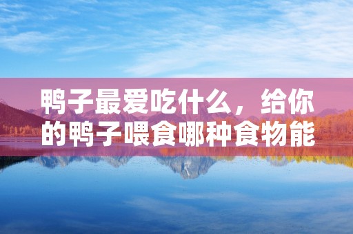 鸭子最爱吃什么，给你的鸭子喂食哪种食物能让它欢呼雀跃