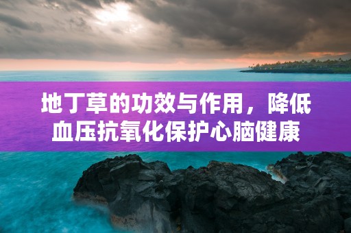 地丁草的功效与作用，降低血压抗氧化保护心脑健康