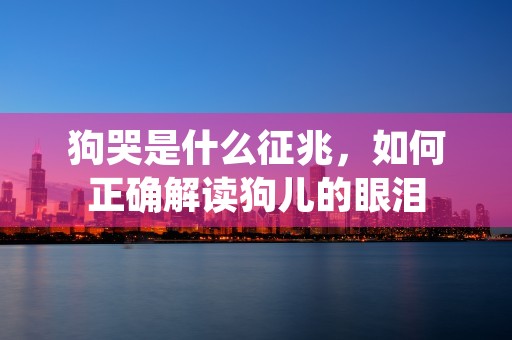 狗哭是什么征兆，如何正确解读狗儿的眼泪