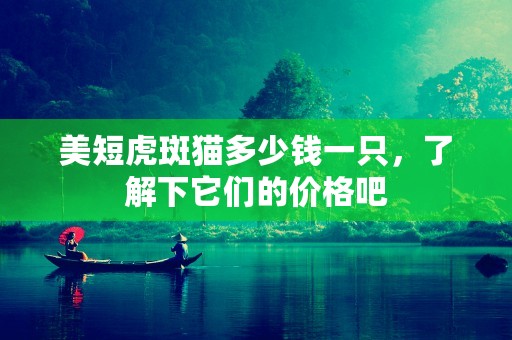 美短虎斑猫多少钱一只，了解下它们的价格吧