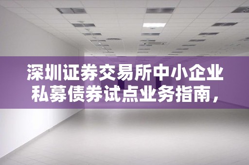 深圳证券交易所中小企业私募债券试点业务指南，助力创新型企业发展