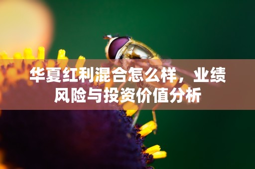 华夏红利混合怎么样，业绩风险与投资价值分析