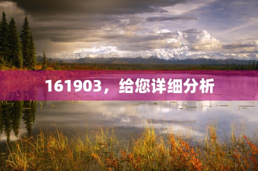 161903，给您详细分析