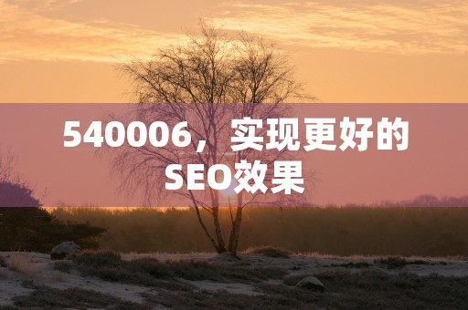 540006，实现更好的SEO效果