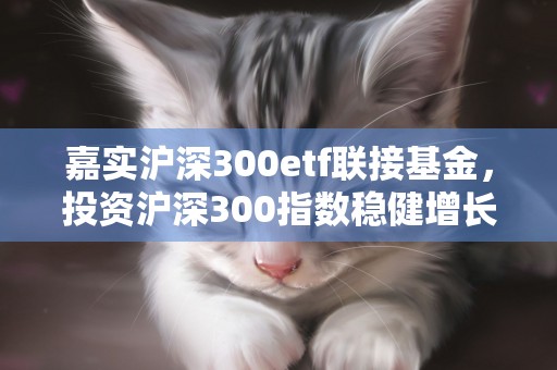 嘉实沪深300etf联接基金，投资沪深300指数稳健增长的首选