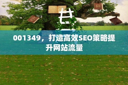 001349，打造高效SEO策略提升网站流量