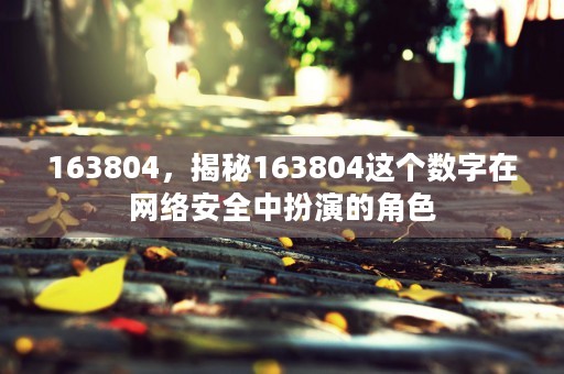 163804，揭秘163804这个数字在网络安全中扮演的角色