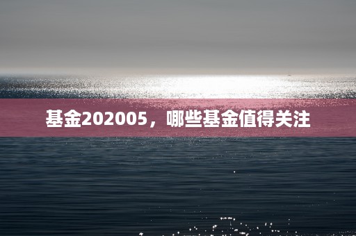 基金202005，哪些基金值得关注