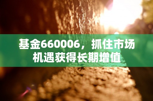 基金660006，抓住市场机遇获得长期增值