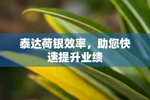 泰达荷银效率，助您快速提升业绩