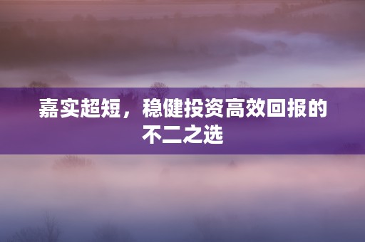 嘉实超短，稳健投资高效回报的不二之选