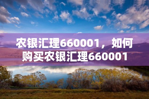 农银汇理660001，如何购买农银汇理660001