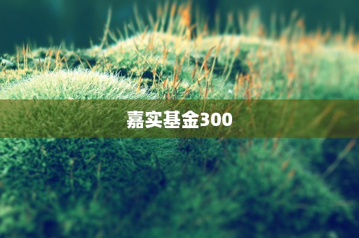 嘉实基金300