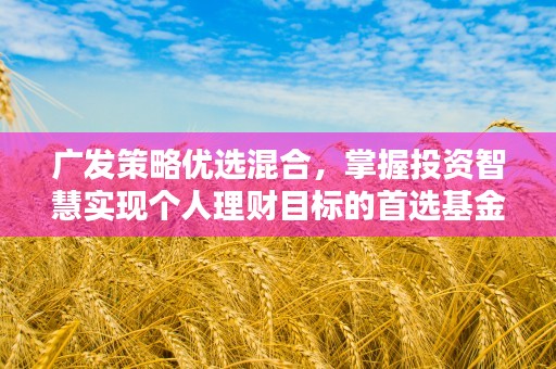 广发策略优选混合，掌握投资智慧实现个人理财目标的首选基金