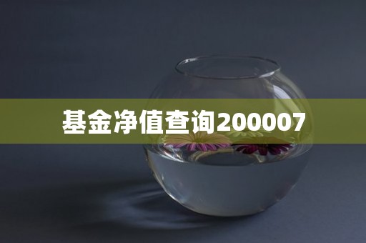 基金净值查询200007